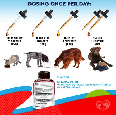 Show full view: Beloved Pets Natural Intestinal Defense for Internal Health & Antioxidant in Cats & Dogs, 2-fl oz bottle slide 7 of 9