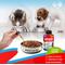 Show in main carousel: Beloved Pets Natural Intestinal Defense for Internal Health & Antioxidant in Cats & Dogs, 2-fl oz bottle slide 5 of 9