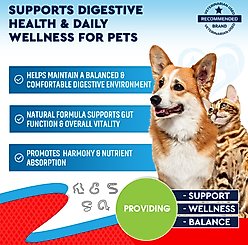 Beloved Pets Natural Intestinal Defense for Internal Health & Antioxidant in Cats & Dogs, 2-fl oz bottle slide 2 of 7