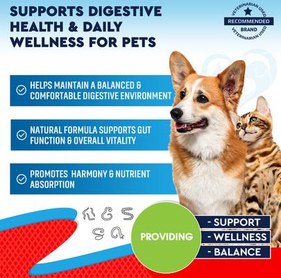Show full view: Beloved Pets Natural Intestinal Defense for Internal Health & Antioxidant in Cats & Dogs, 2-fl oz bottle slide 2 of 9