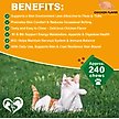Show in main carousel: Beloved Pets Flea & Tick Support Chewable Treats with Chicken Flavor for Cats, 10-oz pack slide 4 of 10