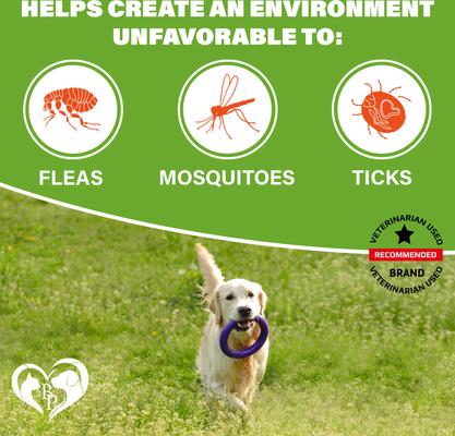 Show full view: Beloved Pets Flea & Tick Support Chicken Flavor Chewable Supplements for Dogs, 10-oz pack slide 2 of 8