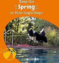 Zesty Paws Wild Alaskan Salmon Oil Formula Liquid Skin & Coat Supplement, 32-oz bottle + Hip & Joint Mobility Bites Duck Flavored Soft Chews Glucosamine Supplement for Dogs, 90 count slide 2 of 9