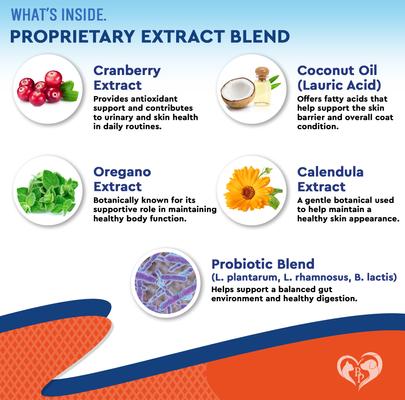 Show full view: Beloved Pets Natural Yeast Support for Skin & Coat, Healthy Inflammatory Balance in Dogs & Cats, 2-fl oz Bottle slide 4 of 10