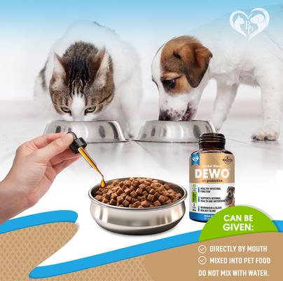 Show full view: Beloved Pets Natural Intestinal Defense with Probiotic for Internal Health & Antioxidant in Cats & Dogs, 2-fl oz bottle slide 6 of 9