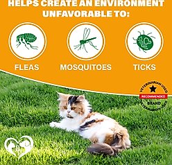 Beloved Pets Flea & Tick Support Chewable Treats with Chicken Flavor for Cats, 10-oz pack slide 2 of 7