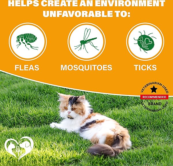 Show full view: Beloved Pets Flea & Tick Support Chewable Treats with Chicken Flavor for Cats, 10-oz pack slide 3 of 10