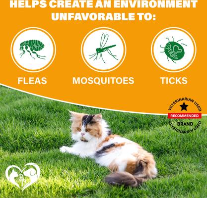 Show full view: Beloved Pets Flea & Tick Support Chewable Treats with Chicken Flavor for Cats, 10-oz pack slide 2 of 8