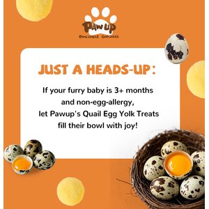 Pawup Freeze-Dried Quail Egg Yolk Dog & Cat Treats, 4-oz jar