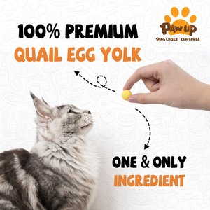 Pawup Freeze-Dried Quail Egg Yolk Dog & Cat Treats, 4-oz jar