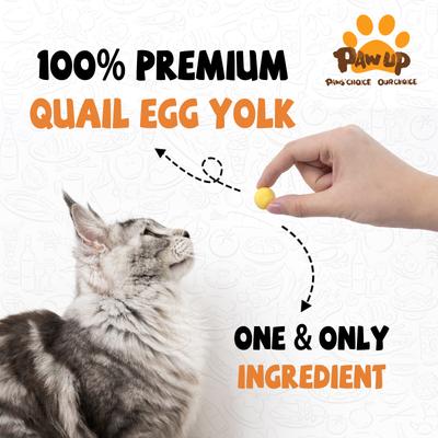 Show full view: Pawup Freeze-Dried Quail Egg Yolk Dog & Cat Treats, 4-oz jar slide 3 of 11