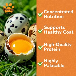 Pawup Freeze-Dried Quail Egg Yolk Dog & Cat Treats, 4-oz jar