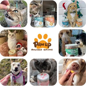 Pawup Freeze-Dried Quail Egg Yolk Dog & Cat Treats, 4-oz jar