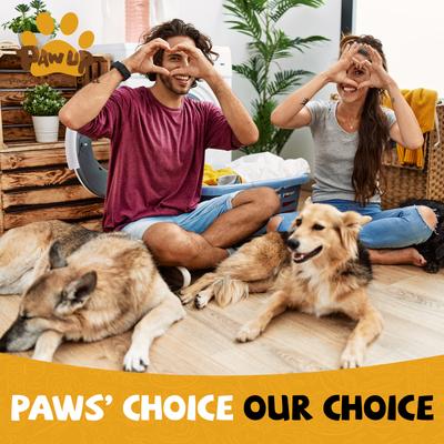 Show full view: Pawup Chicken Jerky Strips Dog Treats, 12.5-oz jar slide 7 of 10