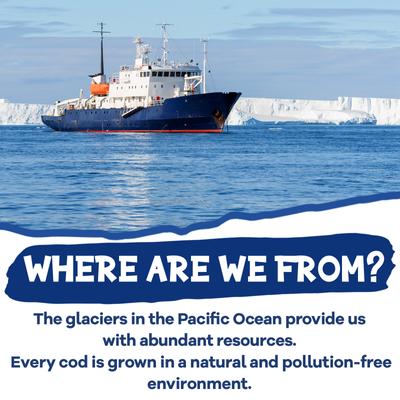 Show full view: Pawup Cod Skin Rolls Natural Chew Dog Treats, 8-oz jar slide 6 of 9