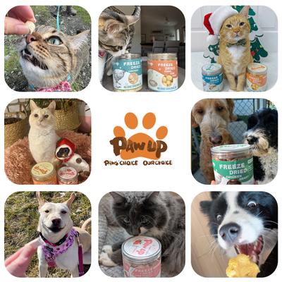 Show full view: Pawup Freeze-Dried Quail Egg Yolk Pumpkin Flavor Dog & Cat Treats, 3.5-oz jar slide 8 of 11