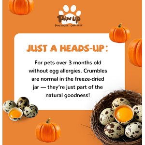 Pawup Freeze-Dried Quail Egg Yolk Pumpkin Flavor Dog & Cat Treats, 3.5-oz jar
