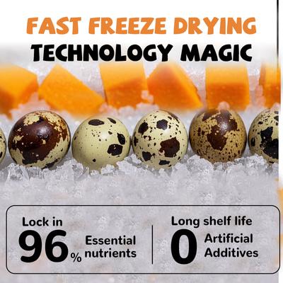 Show full view: Pawup Freeze-Dried Quail Egg Yolk Pumpkin Flavor Dog & Cat Treats, 3.5-oz jar slide 4 of 11