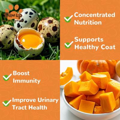 Show full view: Pawup Freeze-Dried Quail Egg Yolk Pumpkin Flavor Dog & Cat Treats, 3.5-oz jar slide 5 of 11