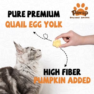 Pawup Freeze-Dried Quail Egg Yolk Pumpkin Flavor Dog & Cat Treats, 3.5-oz jar