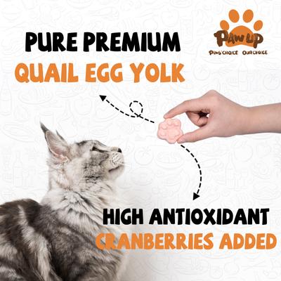 Show full view: Pawup Freeze-Dried Quail Egg Yolk Cranberry Flavor Dog & Cat Treats, 3.5-oz jar slide 3 of 11