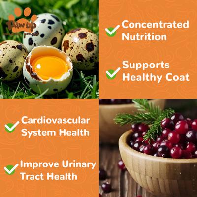 Show full view: Pawup Freeze-Dried Quail Egg Yolk Cranberry Flavor Dog & Cat Treats, 3.5-oz jar slide 5 of 11