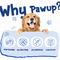 Show in main carousel: Pawup Cod Skin Rolls Natural Chew Dog Treats, 8-oz jar slide 5 of 9