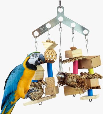 Show full view: Beaktivity Boomerang Bird Toy Base, Natural Medium Wood, Large slide 3 of 4