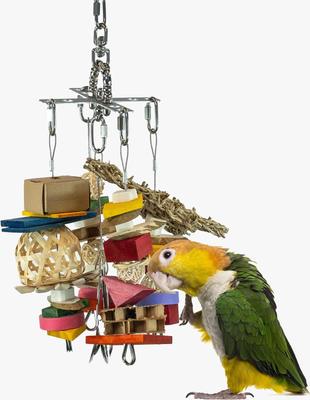 Show full view: Beaktivity Xcalibird Bird Toy Base, Multicolored Medium Wood, Small slide 4 of 6