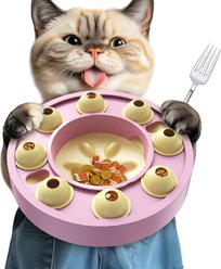 KADTC Wheel Puzzle Cat Toy, Purple