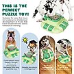 Show in main carousel: KADTC Bistro 2 In 1 Puzzle Dog Toy, Green slide 4 of 8