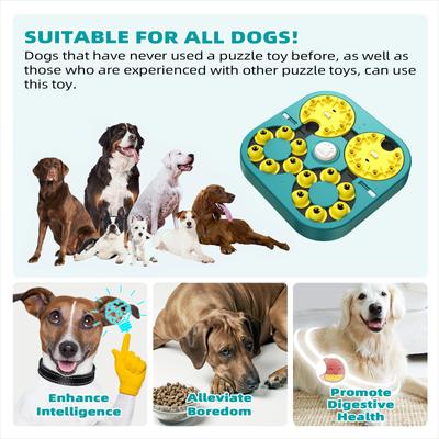 Show full view: KADTC Adventurer 5 In 1 Puzzle Dog Toy, Green slide 6 of 8