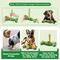 Show in main carousel: KADTC Durable Bully Stick Holder Dog Toy, Green, X-Large slide 6 of 10