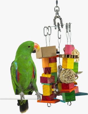 Show full view: Beaktivity Xcalibird Bird Toy Base, Multicolored Medium Wood, Medium slide 4 of 6