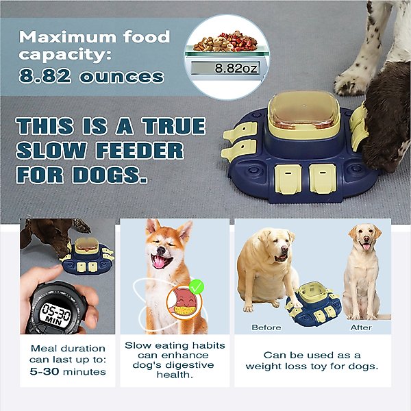 Show full view: KADTC Bistro 2 In 1 Puzzle Dog Toy, Blue slide 6 of 8