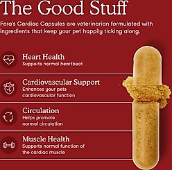 Fera Pets Cardiac Support Salmon Flavor Supplement for Dog & Cat, 120 capsules slide 2 of 8