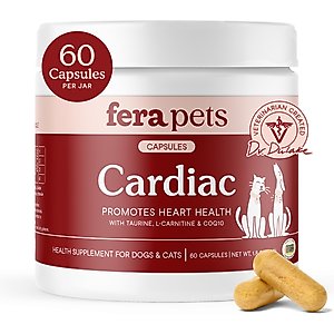 NOW PETS Cardiovascular Support Dog & Cat Supplement, 4.5-fl