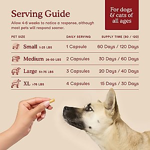Fera Pets Cardiac Support Salmon Flavor Dog & Cat Supplement, 120 capsules