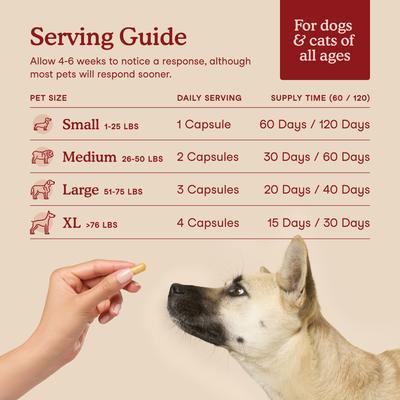 Show full view: Fera Pets Cardiac Support Salmon Flavor Supplement for Dog & Cat, 60 capsules slide 5 of 11