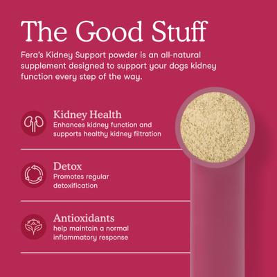 Show full view: Fera Pets Kidney Support Powdered Supplement for Dogs, 2.1-oz jar slide 3 of 11