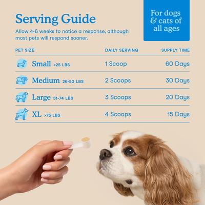 Show full view: Fera Pets Dental Support Powder Supplement for Dogs & Cats, 2.1-oz jar slide 5 of 12