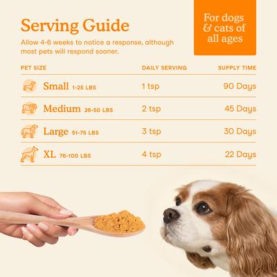 Show full view: Fera Pets Pumpkin Plus USDA Organic Fiber Support for Dogs & Cats, 8-oz jar slide 5 of 12