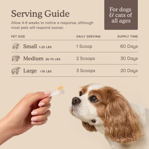 Fera Pets Liver Support with Milk Thistle & Turmeric Powder for Dogs & Cats, 2.5-oz jar