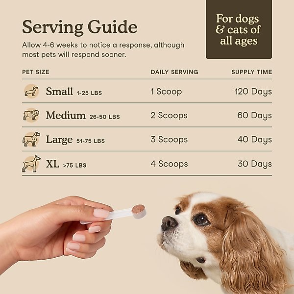 Show full view: Fera Pets Mushroom Cognitive & Immune Support Powder Supplement for Dog & Cat, 2.12-oz jar slide 5 of 10