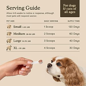 Fera Pets Mushroom Immune Support Dog & Cat Supplement, 120 servings
