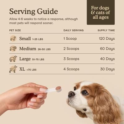 Show full view: Fera Pets Mushroom Cognitive & Immune Support Powder Supplement for Dog & Cat, 2.12-oz jar slide 5 of 12