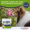 Show in main carousel: VETRIMAX Allergy CZN Bacon Flavored Supplement for Dogs, 120 count, 9.3-oz bottle slide 8 of 11