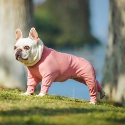 Pebot Troublemaker Dog & Cat UV Protection Onesie, Pink, Size 10