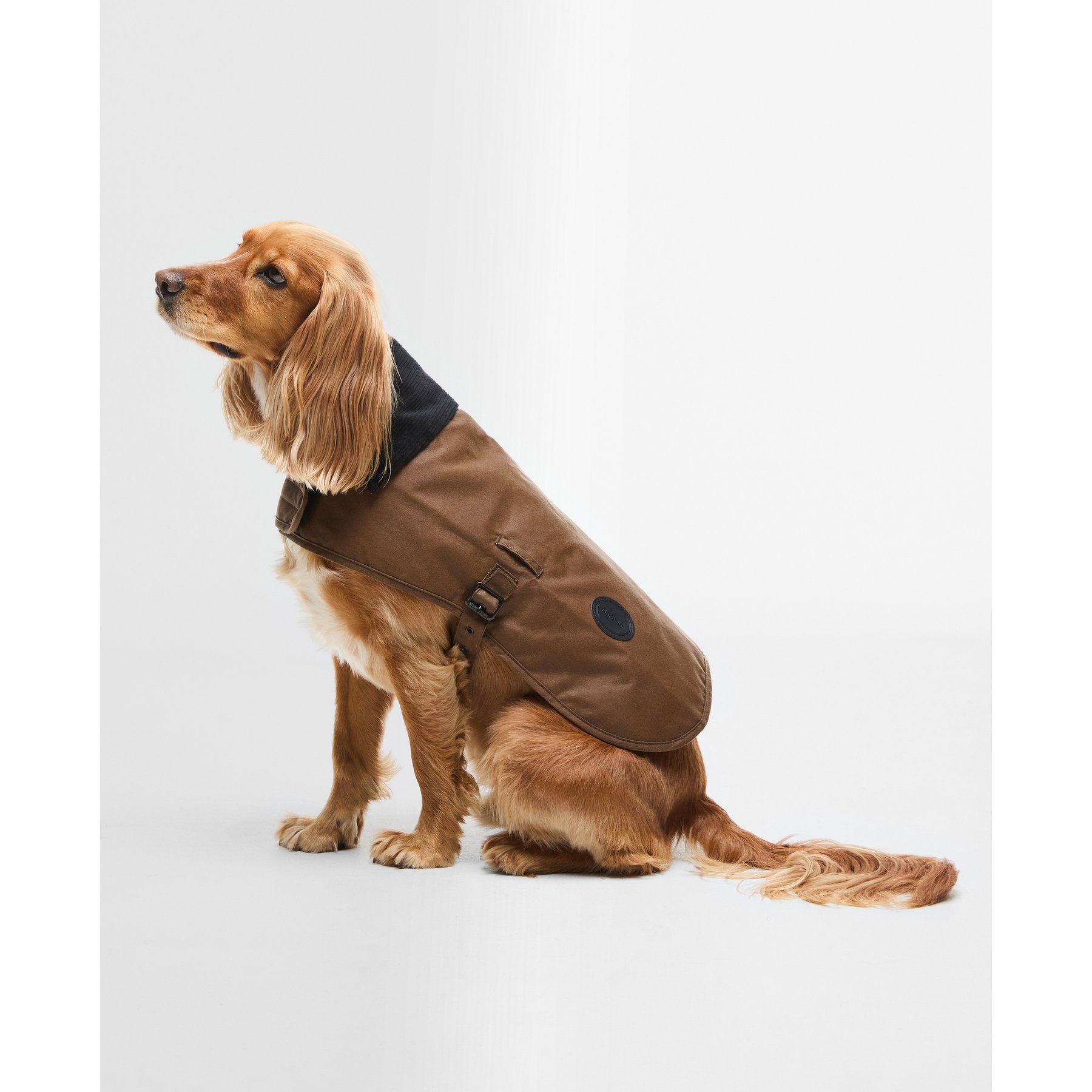 Barbour Wax Dog Coat, Tan, Large