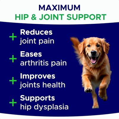 Show full view: GoodGrowlies Glucosamine Hip & Joint Chicken Flavored Soft Chew Supplement for Dogs, 180 count slide 4 of 9